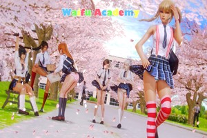 二次元学院 | Waifu Academy | er9969-Agame游戏中心